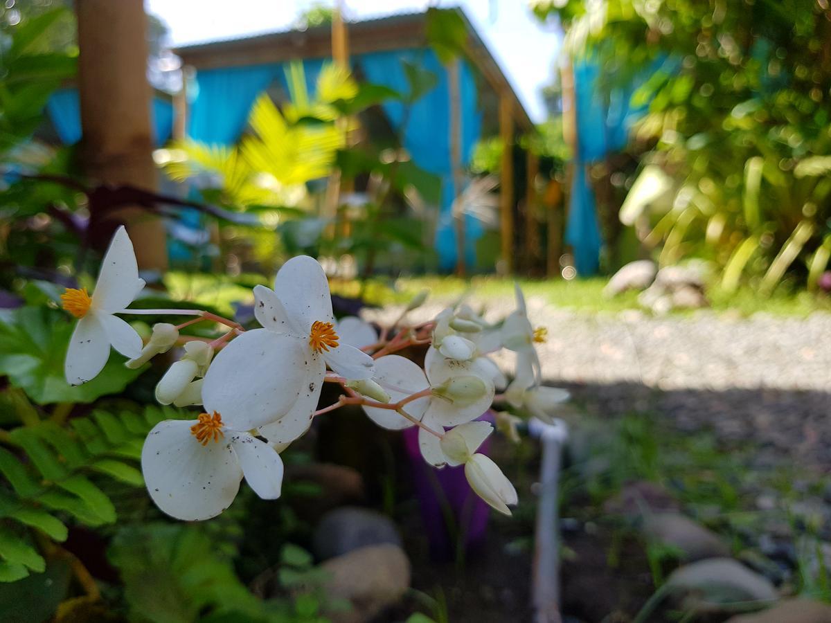 Camping Rooms Shalton Cahuita Room photo